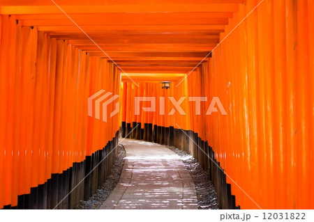 伏見稲荷1 12031822