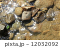 せせらぎ 12032092