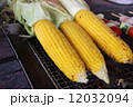 とうもろこし 12032094