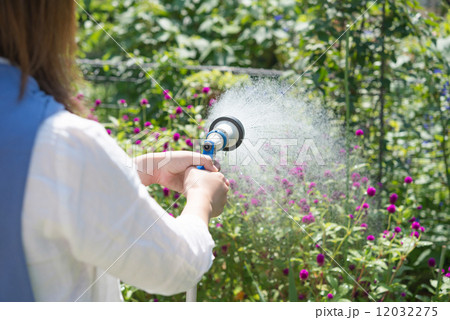 水やり 水やり 12032275