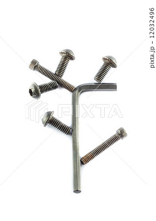 hexagon nut 12032496