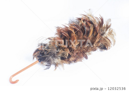 Feather broom for cleaning isolated on white background 12032536