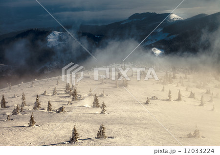Trees covered with hoarfrost and snow in mountains Trees covered with hoarfrost and snow in mountains 12033224