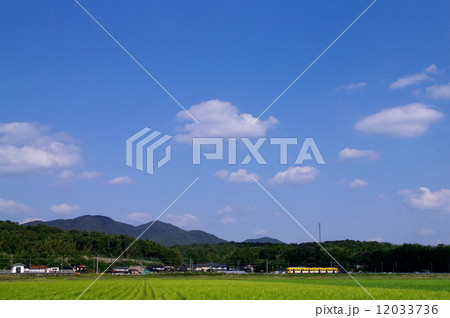 黄色い電車が走る風景 12033736