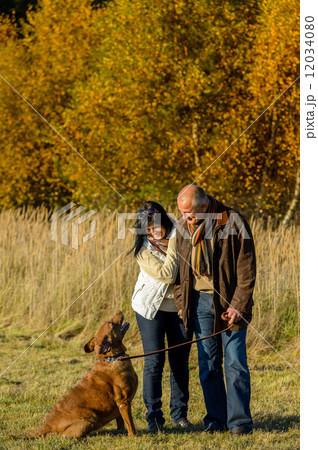 Couple training dog autumn sunset park Couple training dog autumn sunset park 12034080
