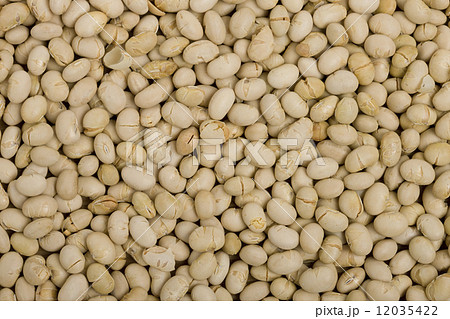 炒り大豆 12035422