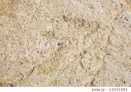 岩の表面 12035981