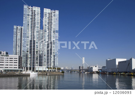 臨海地域の高層マンション 臨海地域の高層マンション 12036093
