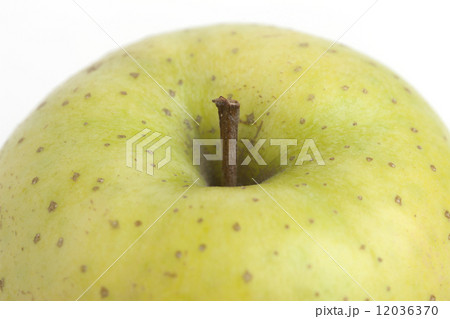 リンゴ　王林 12036370