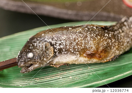 イワナの塩焼き イワナの塩焼き 12036774