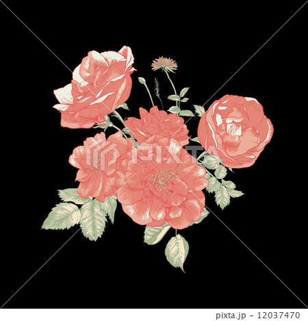 Floral greeting card with red roses 12037470