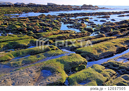 根本海岸屏風岩 12037505