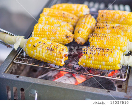 焼きとうもろこし 12037616