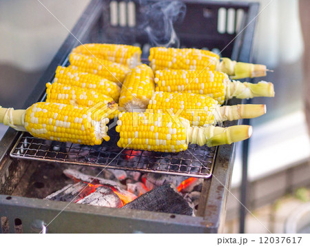 焼きとうもろこし 12037617