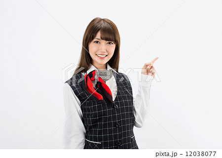 手で案内をするビジネスウーマン 手で案内をするビジネスウーマン 12038077