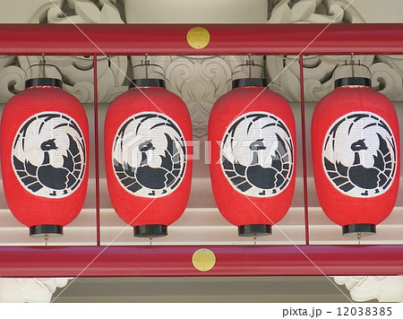 歌舞伎座　提灯 12038385