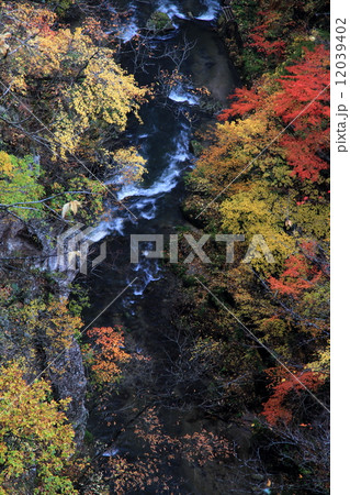 鳴子峡の紅葉 12039402