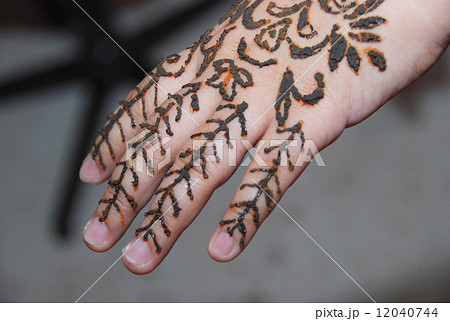 Henna Tattoo 12040744