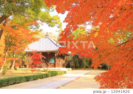 仁和寺（京都）庭園の紅葉 12041920