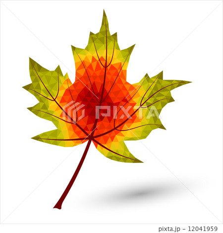 autumn maple leaf in triangular design colored in autumnal colors 12041959