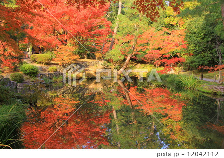 等持院（京都）庭園の紅葉 12042112