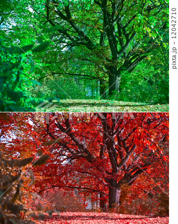 Seasons 12042710