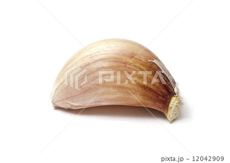 clove of garlic clove of garlic 12042909