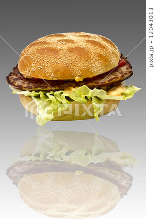 Delicious hamburger Delicious hamburger 12043013
