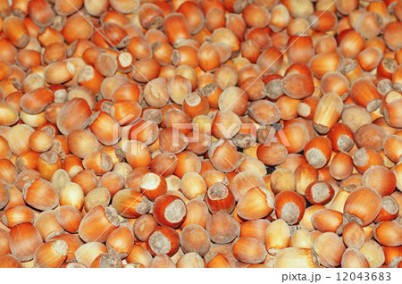 Hazelnuts close-up as background 12043683