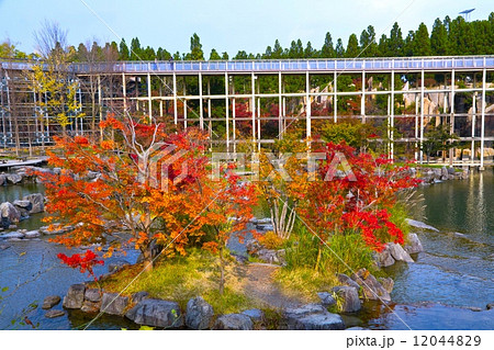けいはんな記念公園の紅葉 12044829