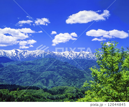新緑の朝日連峰 12044845