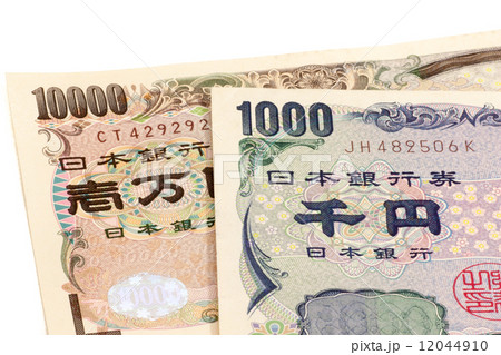 消費税１０％ 12044910
