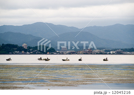 宍道湖湖面のシジミ漁の景色 宍道湖湖面のシジミ漁の景色 12045216