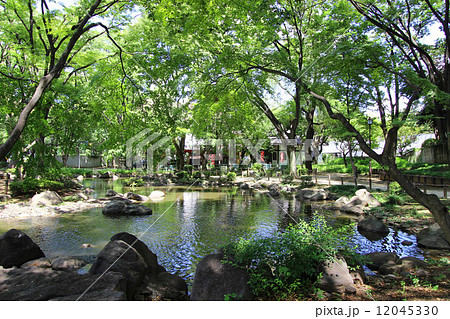 芝公園の弁天池 芝公園の弁天池 12045330