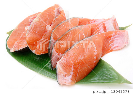 鮭 12045573