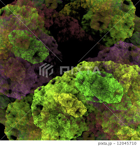 Symmetrical growth of bacteria Symmetrical growth of bacteria 12045710