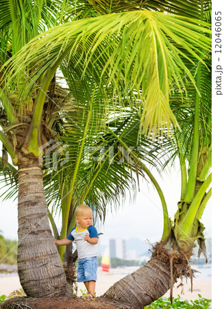 Baby on the beach 12046065