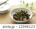 ひじきの煮物 12046123