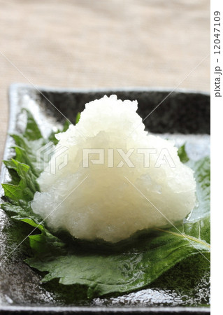 大根おろし 大根おろし 12047109