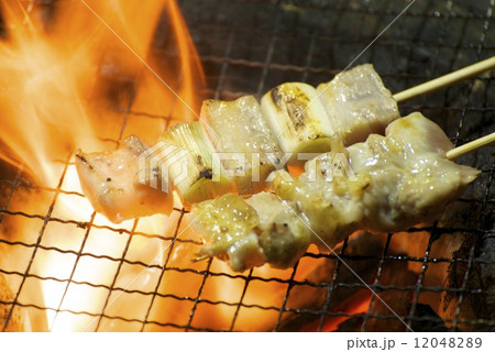 焼き鳥 焼き鳥 12048289