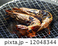 七輪で焼くエビ 12048344