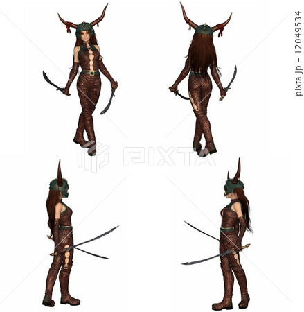 Dragon Warrior Girl Fantasy Character Set 12049534