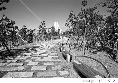 東京湾埋立地・潮風公園　1990年代の記録 12049712