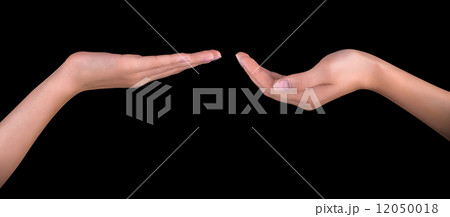 Beautiful woman hand holding Beautiful woman hand holding 12050018