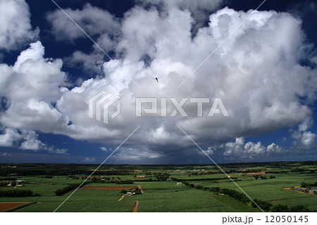 南大東島の風景 12050145