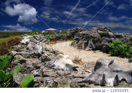 日本最南端の眺め 12050395