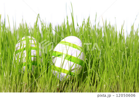easter eggs green 12050606
