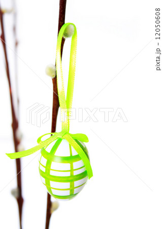 easter egg green white 12050608