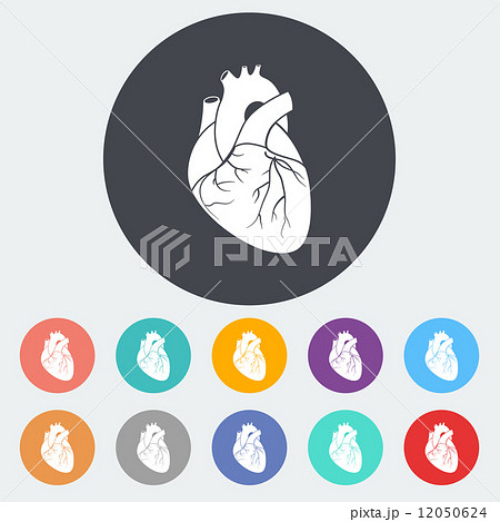 Heart flat icon Heart flat icon 12050624
