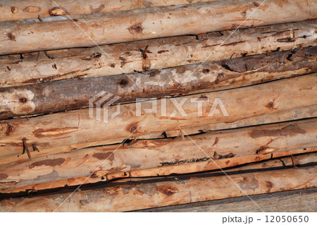 pile of wooden logs pile of wooden logs 12050650